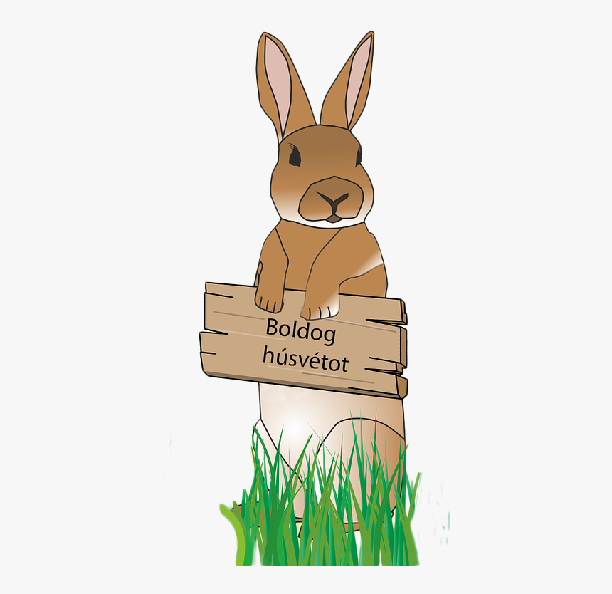 Rabbit Easter Bunny Free Picture - قصة ارنوب, HD Png Download