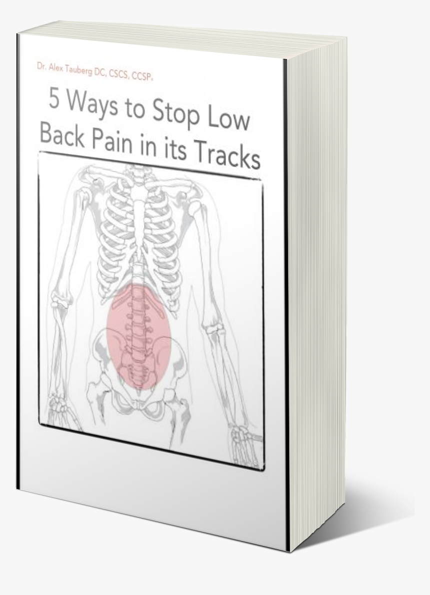 Low Back Pain Ebook - Human Skeleton, HD Png Download