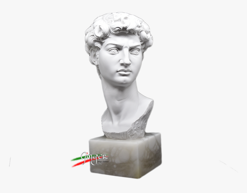 Testa Del Davi Di Michelangelo, Statue Made In Italy - Bust, HD Png Download
