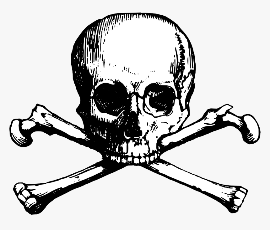Free Skull Clipart - Skull N Bones Png, Transparent Png