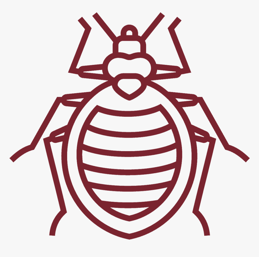 Bed Bug White Outline, HD Png Download