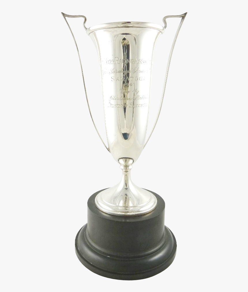 Transparent Silver Trophy Clipart - Champagne Stemware, HD Png Download