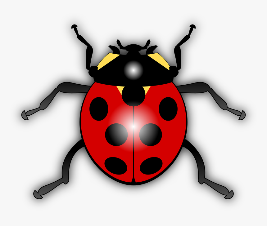 Ladybird Clipart, HD Png Download