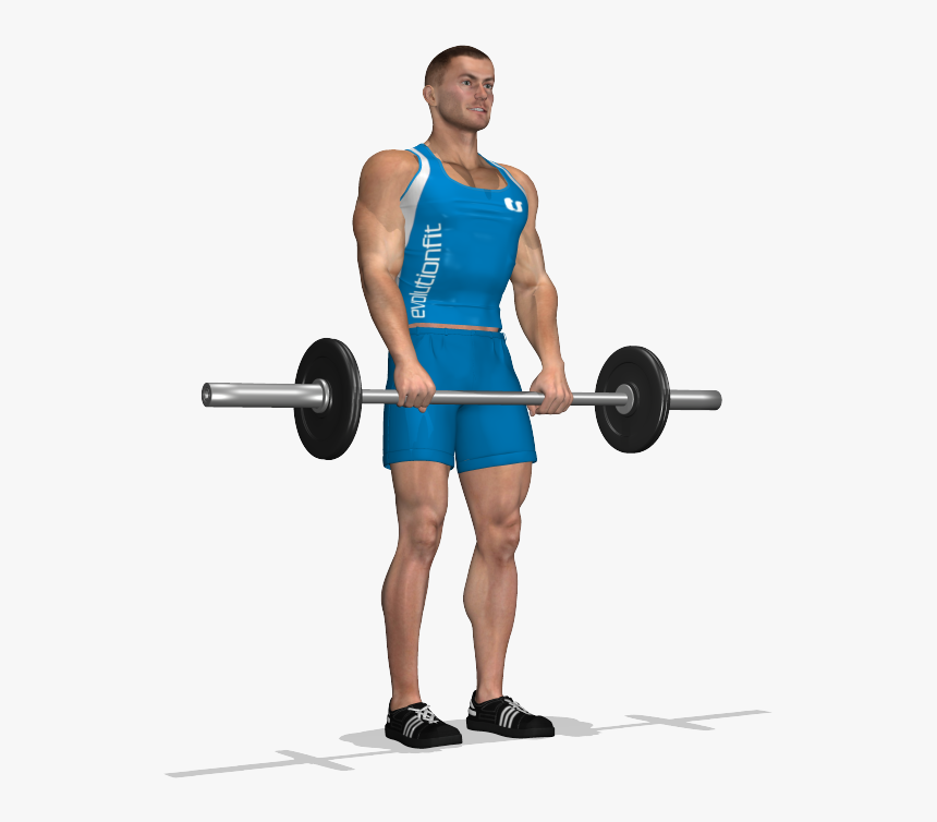 Transparent Deadlift Png - Stacchi A Gambe Tese, Png Download