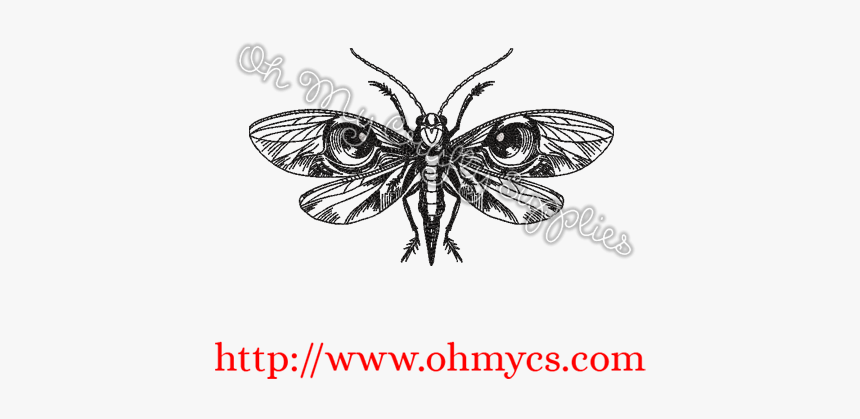 Brush-footed Butterfly, HD Png Download