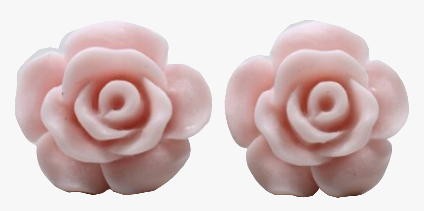 Garden Roses, HD Png Download