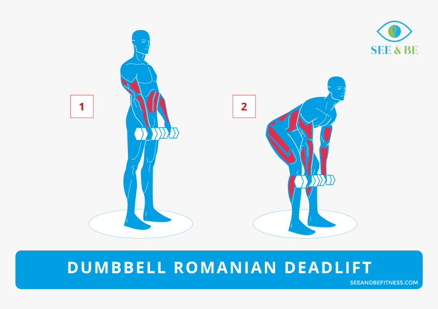 Step Up Knee Raise Muscles Worked, HD Png Download , Transparent Png