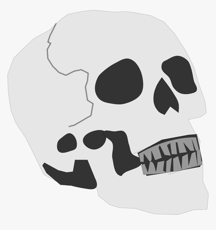 Grave Skull Vector, HD Png Download
