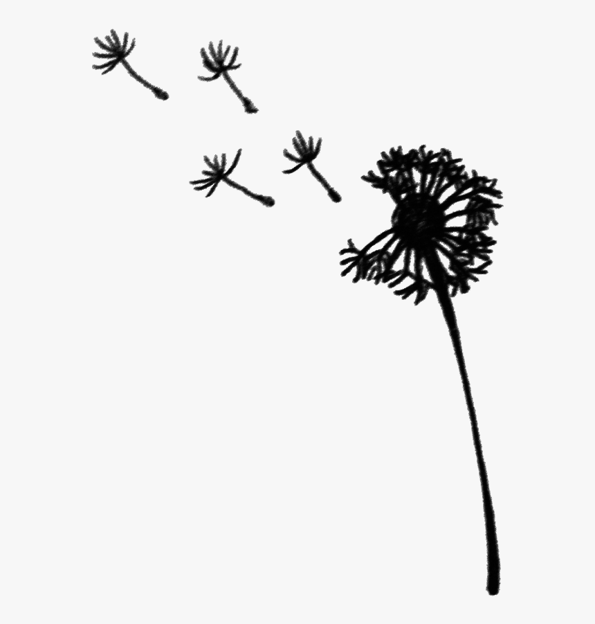 Clip Art Dandelion Graphic - Dandelion, HD Png Download