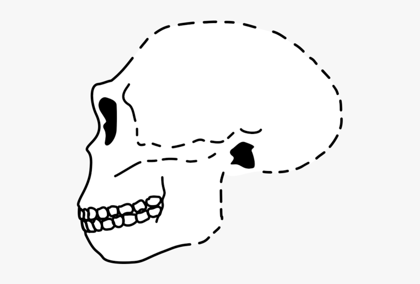 Antecessor Skull - Soviet Union, HD Png Download