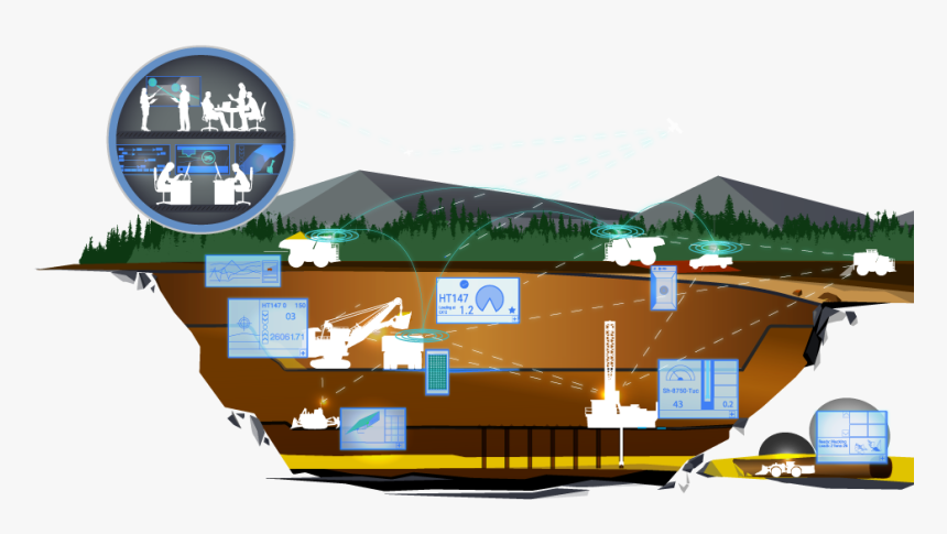 Tree, HD Png Download