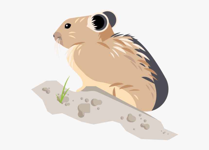 The Yellowstone Citizen Science Initiative Is A Collaboration, HD Png Download