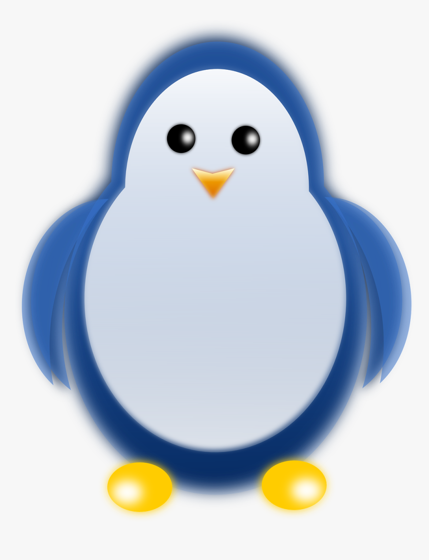 Penguin, HD Png Download
