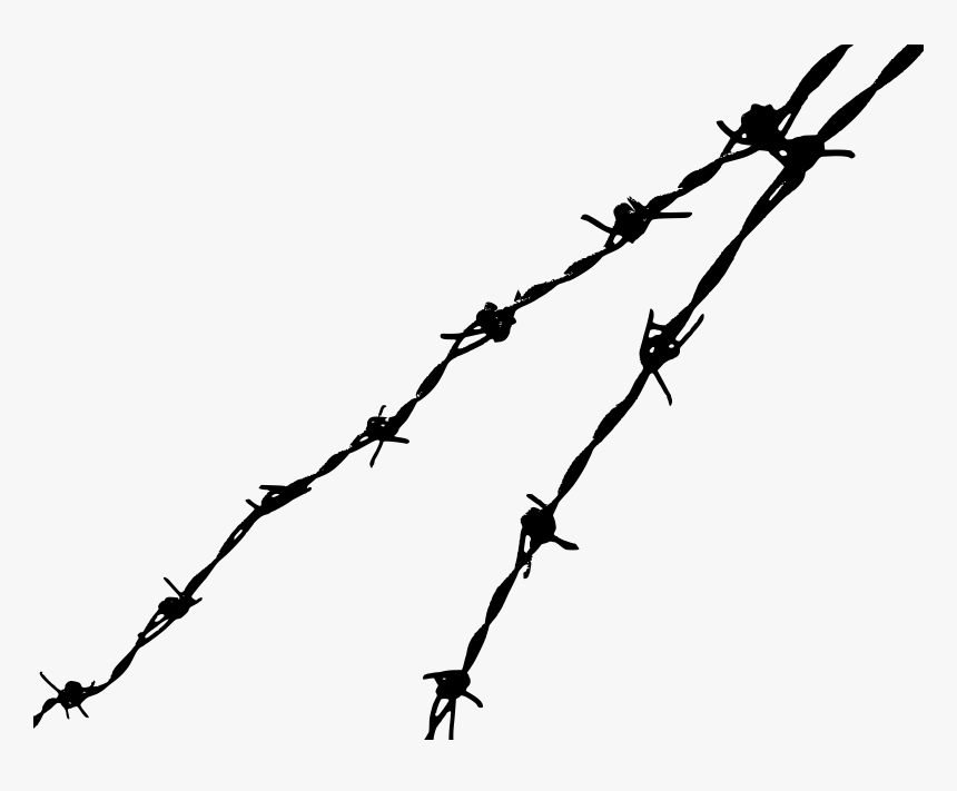 Barbed Wire Black Transparent, HD Png Download
