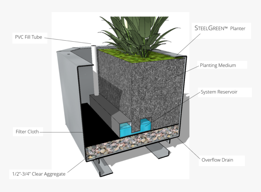 Houseplant, HD Png Download