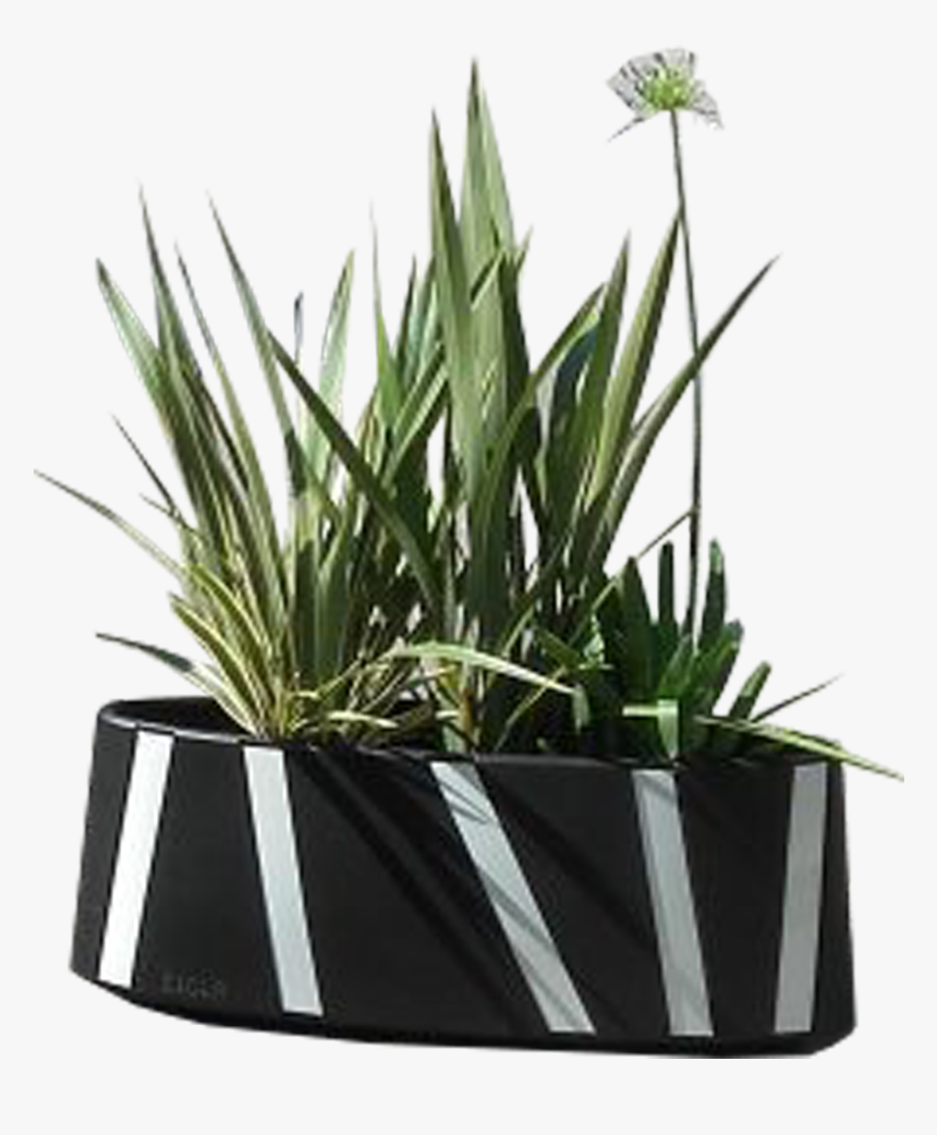 Tmp Zipper Planter Cycle Lane Separator - Houseplant, HD Png Download