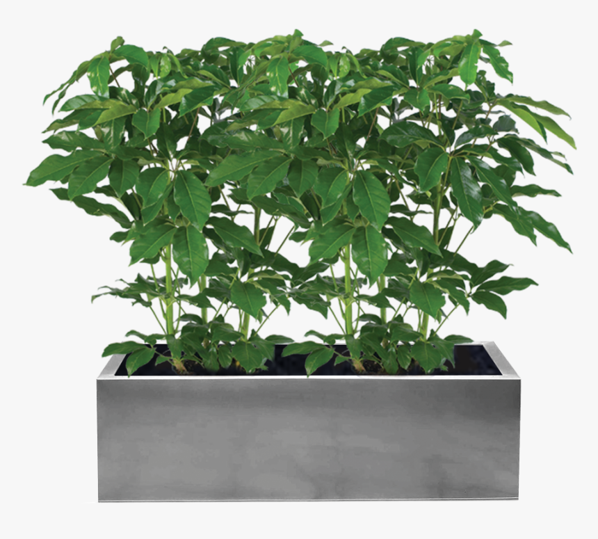 Galvanized Metal Planters Blue, HD Png Download