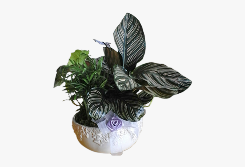 Flowerpot, HD Png Download