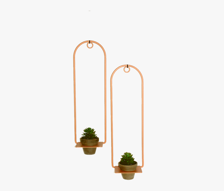 Houseplant, HD Png Download