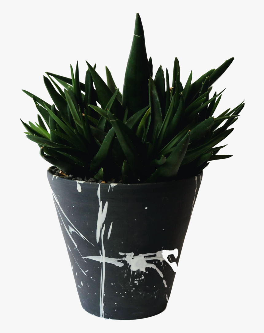 Flowerpot, HD Png Download