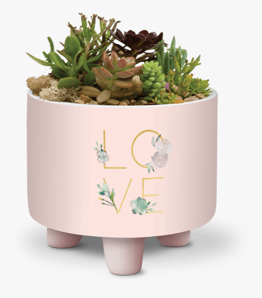 Flowerpot, HD Png Download