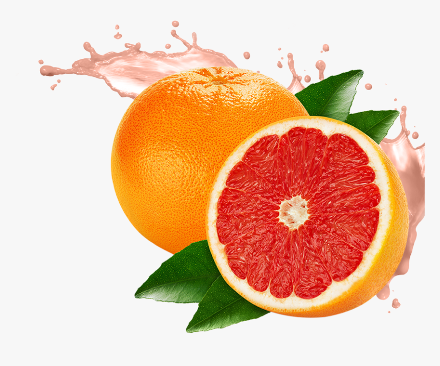Grapefruit Png Image - Transparent Grapefruit Png, Png Download