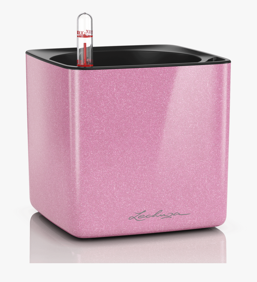 Lechuza Cube Glossy Sweet, HD Png Download