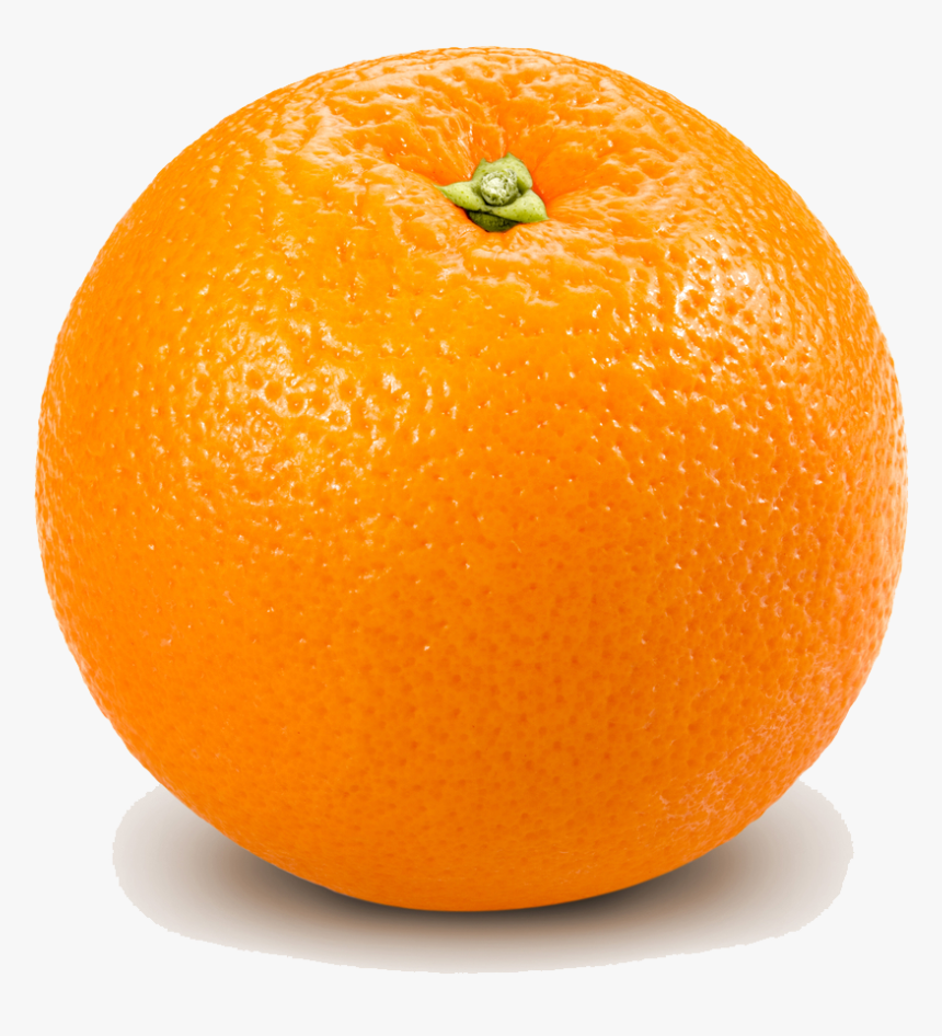 Grapefruit Bitter Orange Lemon - Orange Transparent, HD Png Download