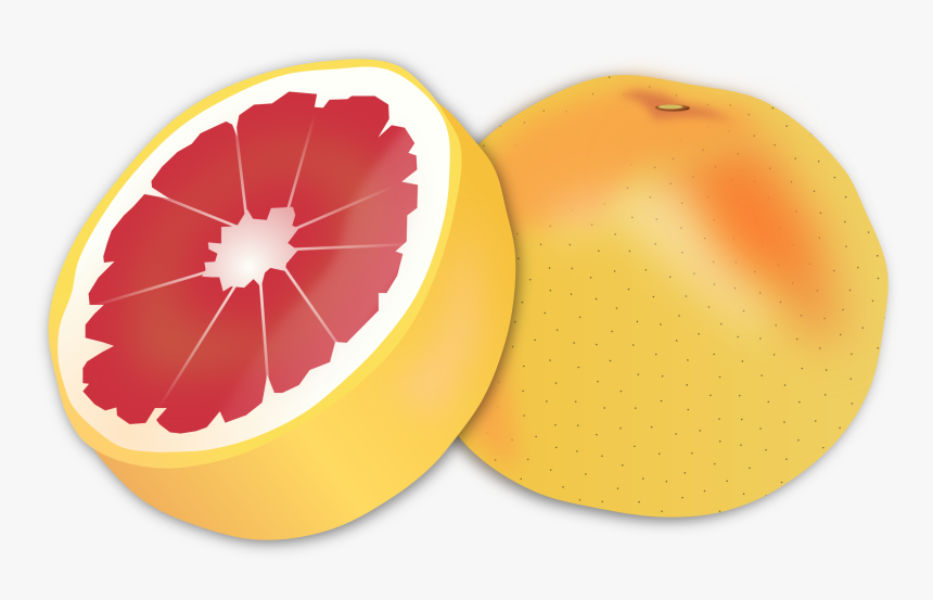 Grapefruit Clipart, HD Png Download