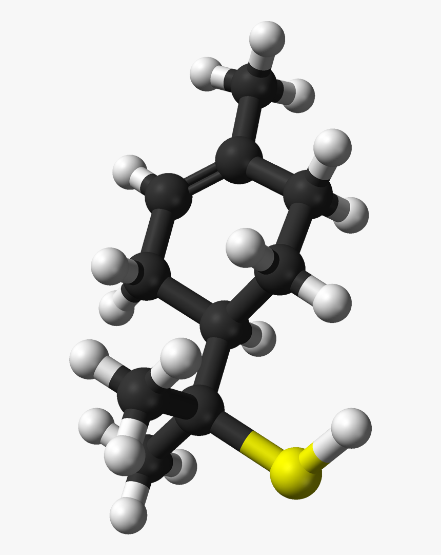 Grapefruit Mercaptan 3d Balls - Terpineol, HD Png Download