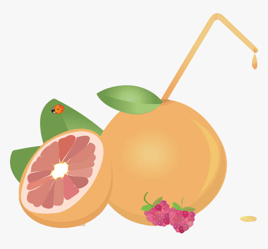 Juice Grapefruit Euclidean Vector - Tangerine, HD Png Download