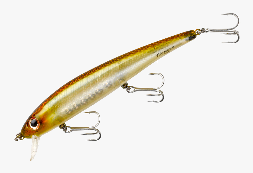 Suspending Pro Long A - Transparent Fishing Lure, HD Png Download