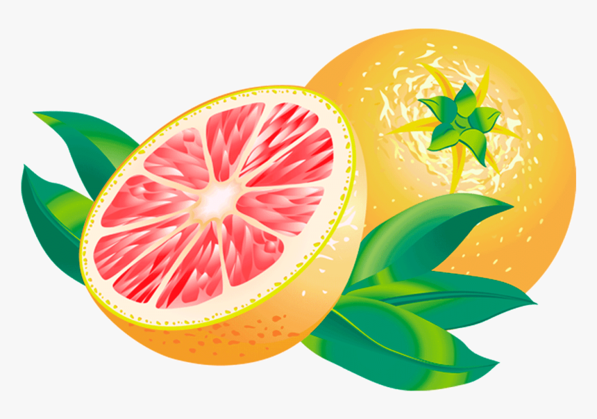 Grapefruit - Grapefruit Fruit Clipart Png, Transparent Png