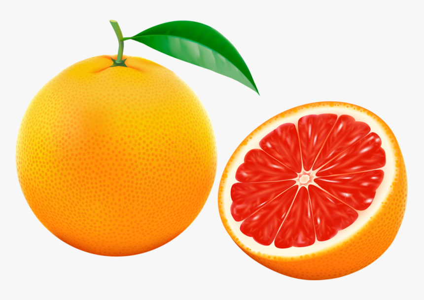 Dibujo De La Fruta Pomelo, HD Png Download