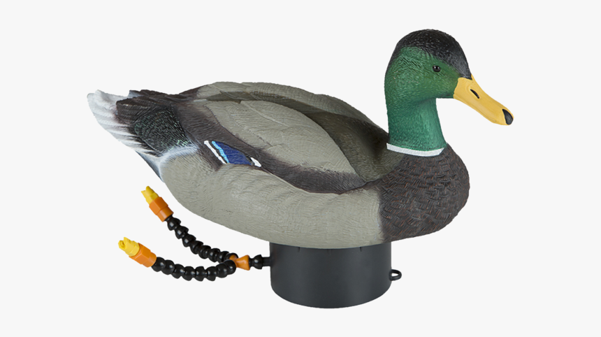 Lucky Duck Super Swimmer Hd - Lucky Duck Swimmer, HD Png Download