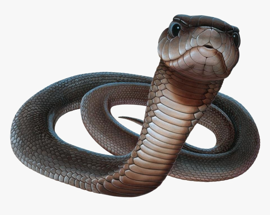 Black Mamba Snake Png Picture - Black Mamba Png, Transparent Png
