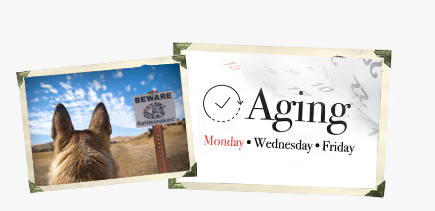 Banner, HD Png Download