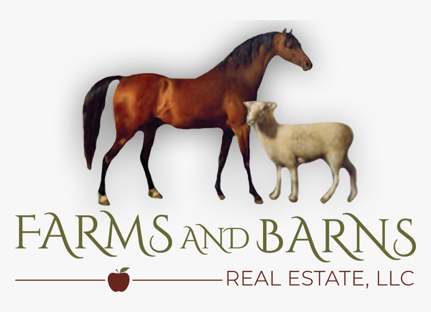 Sorrel, HD Png Download