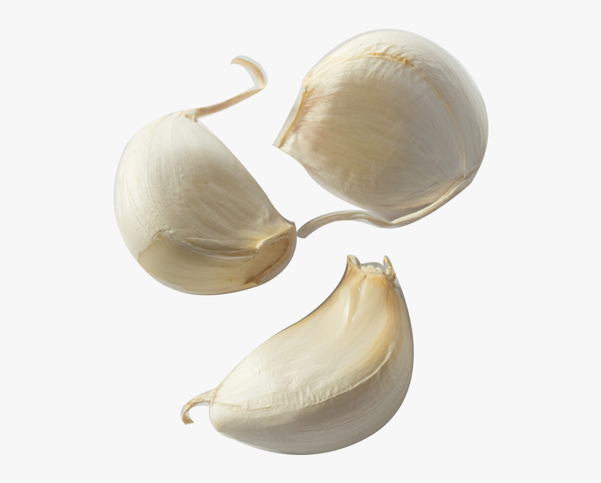 Garlic Bread Clove Condiment Onion - Transparent Garlic Clove, HD Png Download