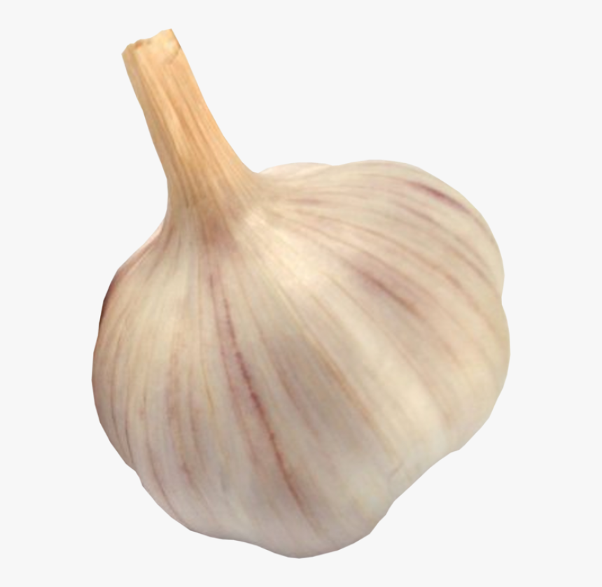 Garlic Free Png Image Download - Garlic Image Downloaded, Transparent Png