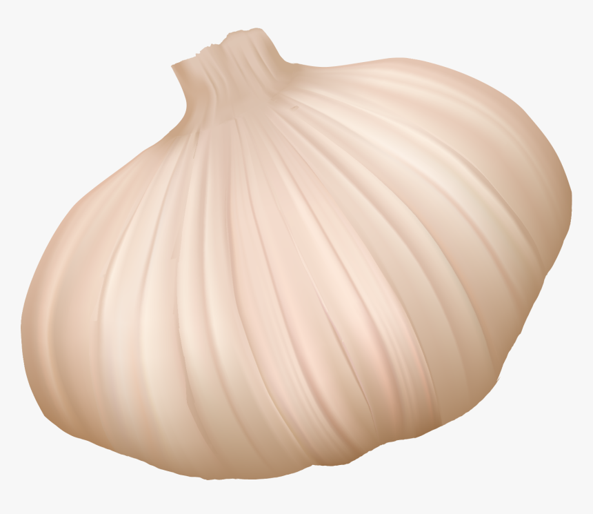 Garlic, HD Png Download