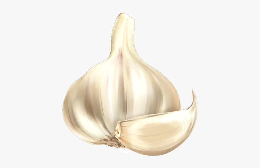 Garlic Cartoon Vegetable - Garlic Cartoon Png, Transparent Png
