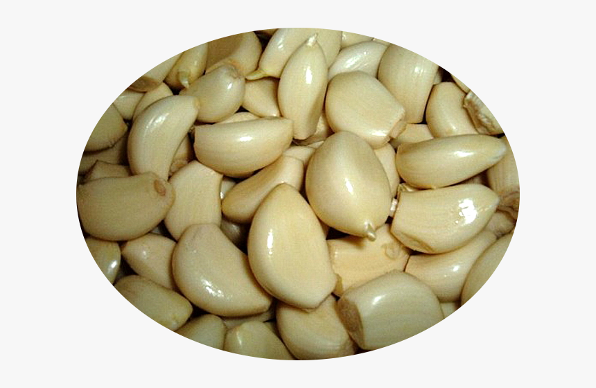 Transparent Garlic Png - Best Tome To Take Raw Garlic, Png Download