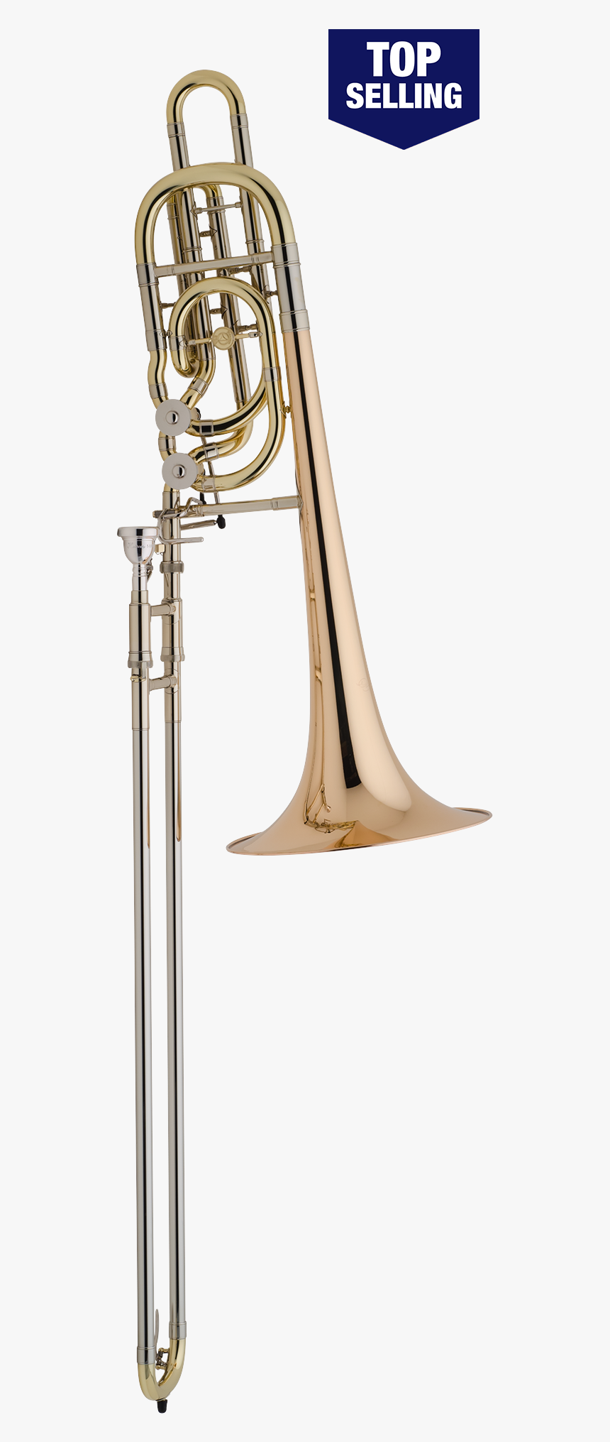 Trombone Vector Bass - Types Of Trombone, HD Png Download