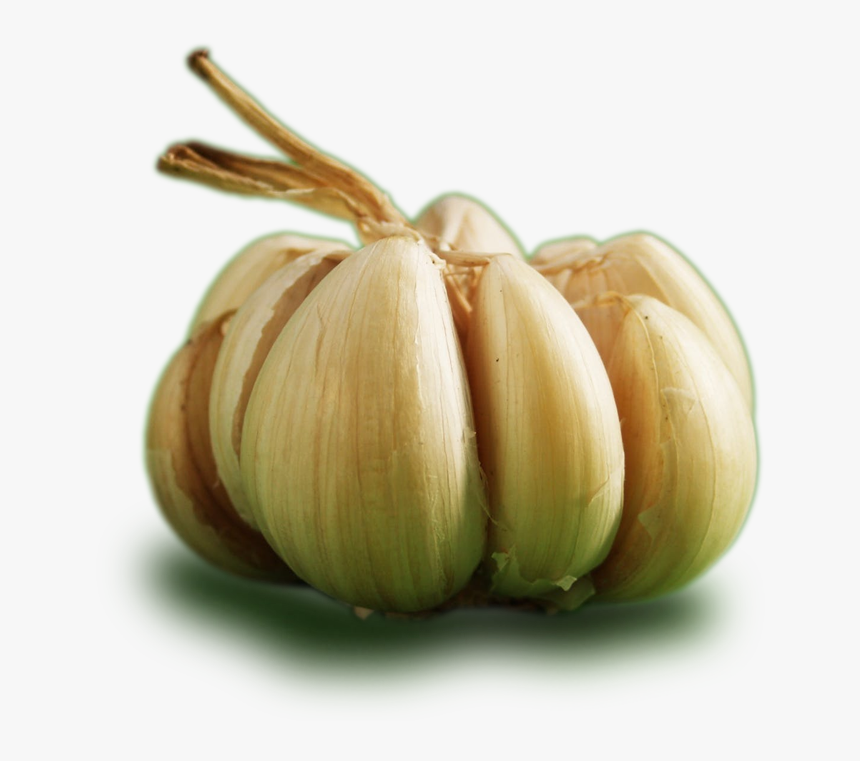 Ontos Garlic - Garlic - Garlic, HD Png Download