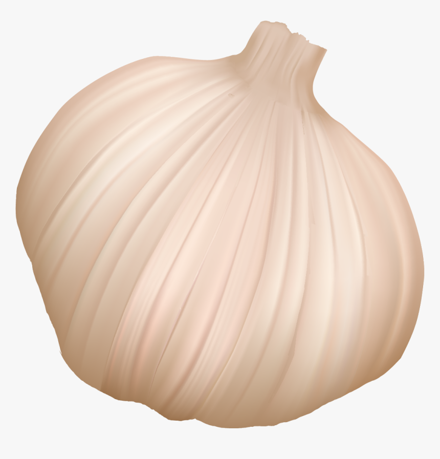 Garlic, HD Png Download