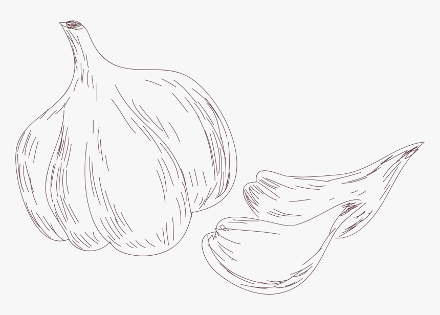 Line Art, HD Png Download