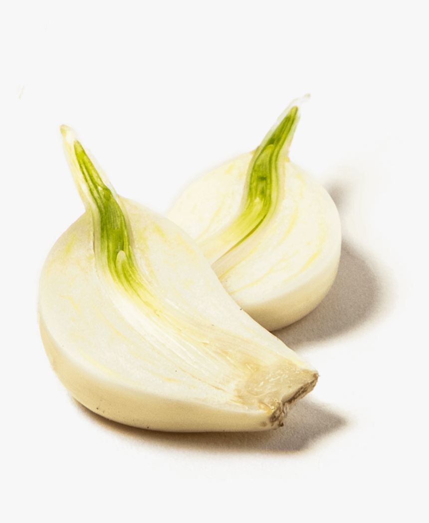 Elephant Garlic, HD Png Download