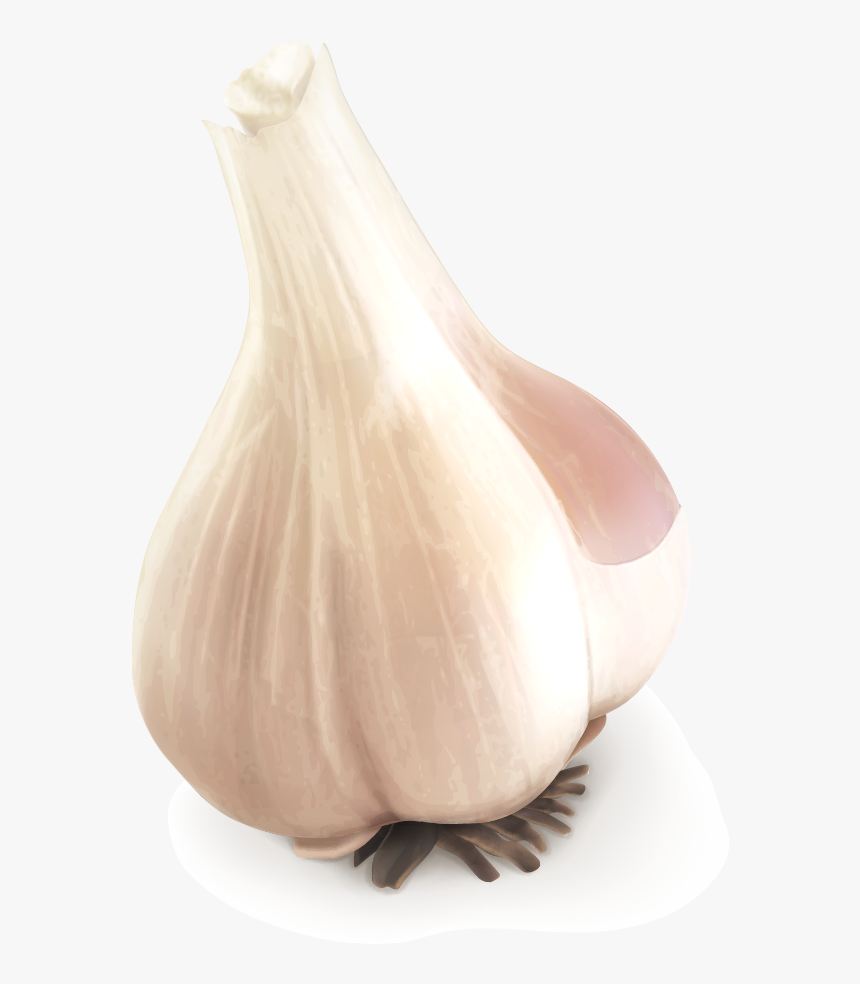 Garlic, HD Png Download