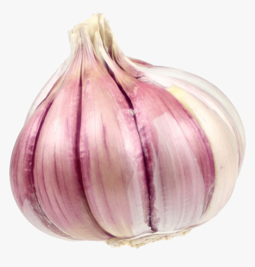 Growing Garlic - Corm In Garlic, HD Png Download